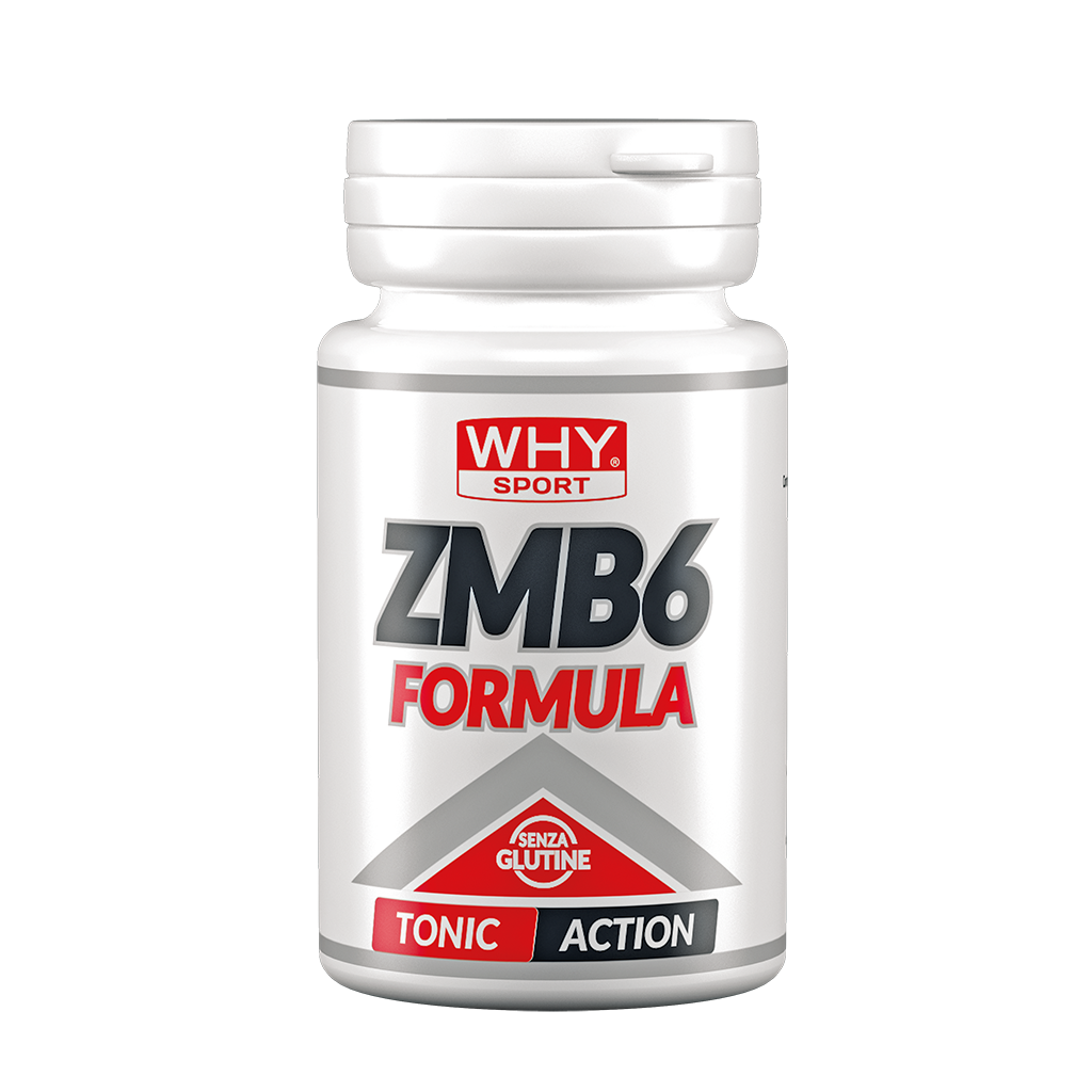 ZMB6 FORMULA 90 cpr