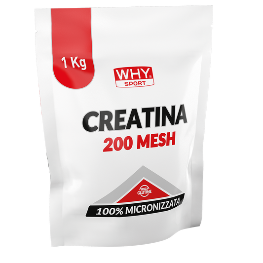 CREATINA 200 MESH 1 Kg