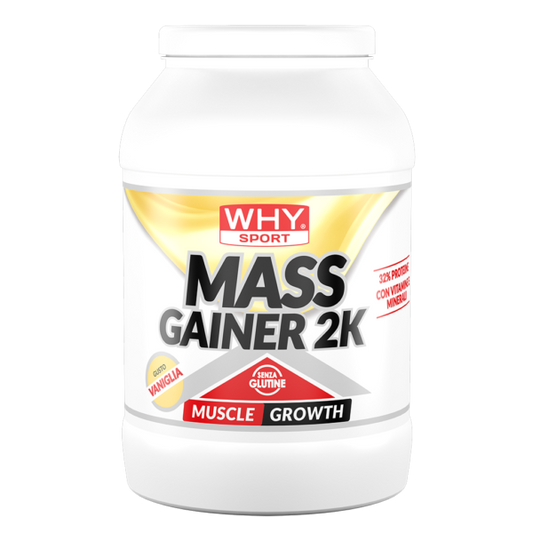 MASS GAINER 2K 2 Kg