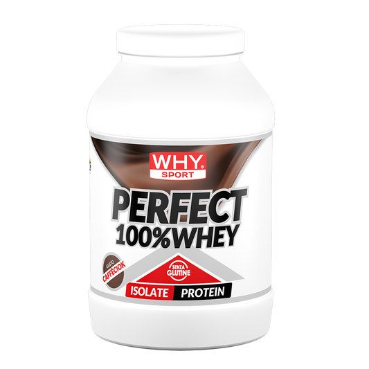PERFECT 100% WHEY 900 g